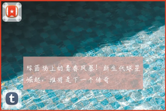 绿茵场上的青春风暴！新生代球星崛起，谁将是下一个传奇