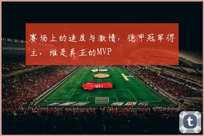 赛场上的速度与激情,德甲冠军得主,谁是真正的MVP