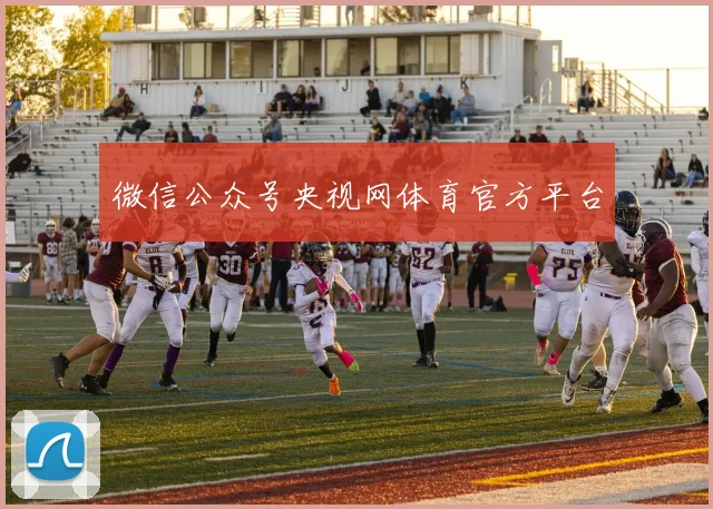 微信公众号央视网体育官方平台