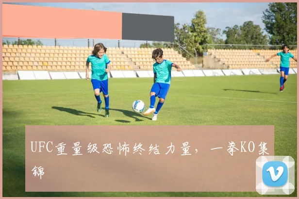 UFC重量级恐怖终结力量,一拳KO集锦