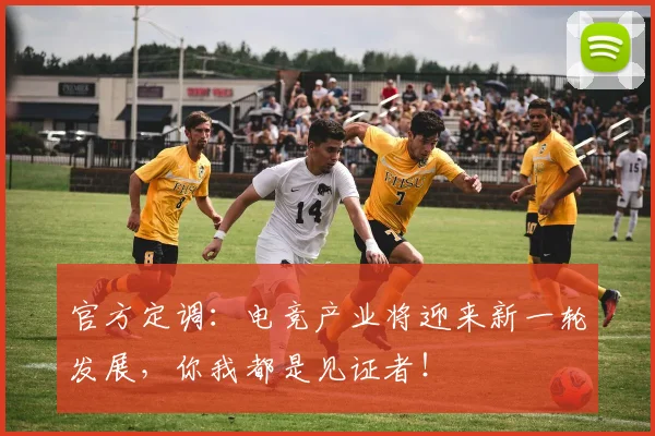 官方定调：电竞产业将迎来新一轮发展，你我都是见证者！
