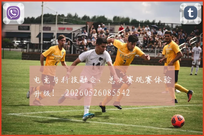 电竞与科技融合,总决赛观赛体验升级!_20260526085542