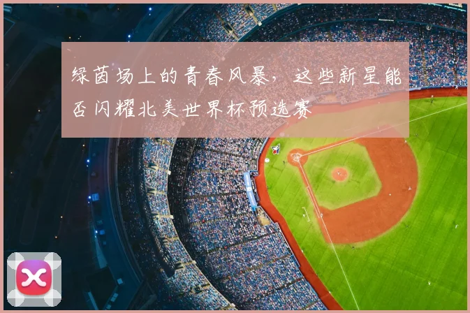 绿茵场上的青春风暴，这些新星能否闪耀北美世界杯预选赛